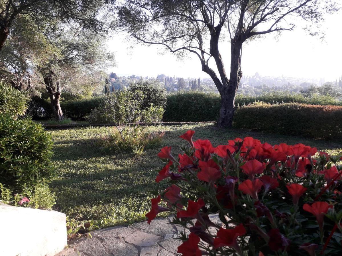 Apartament House In The Olive Garden Ágios Ioánnis Zewnętrze zdjęcie