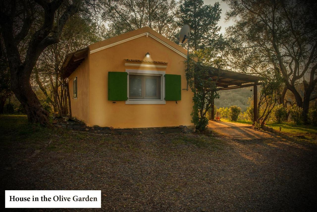 Apartament House In The Olive Garden Ágios Ioánnis Zewnętrze zdjęcie