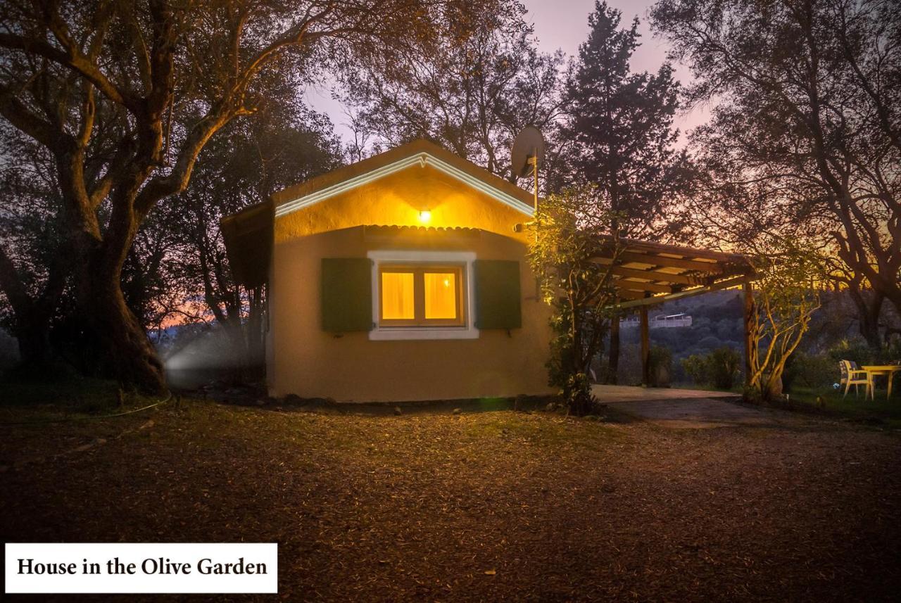 Apartament House In The Olive Garden Ágios Ioánnis Zewnętrze zdjęcie