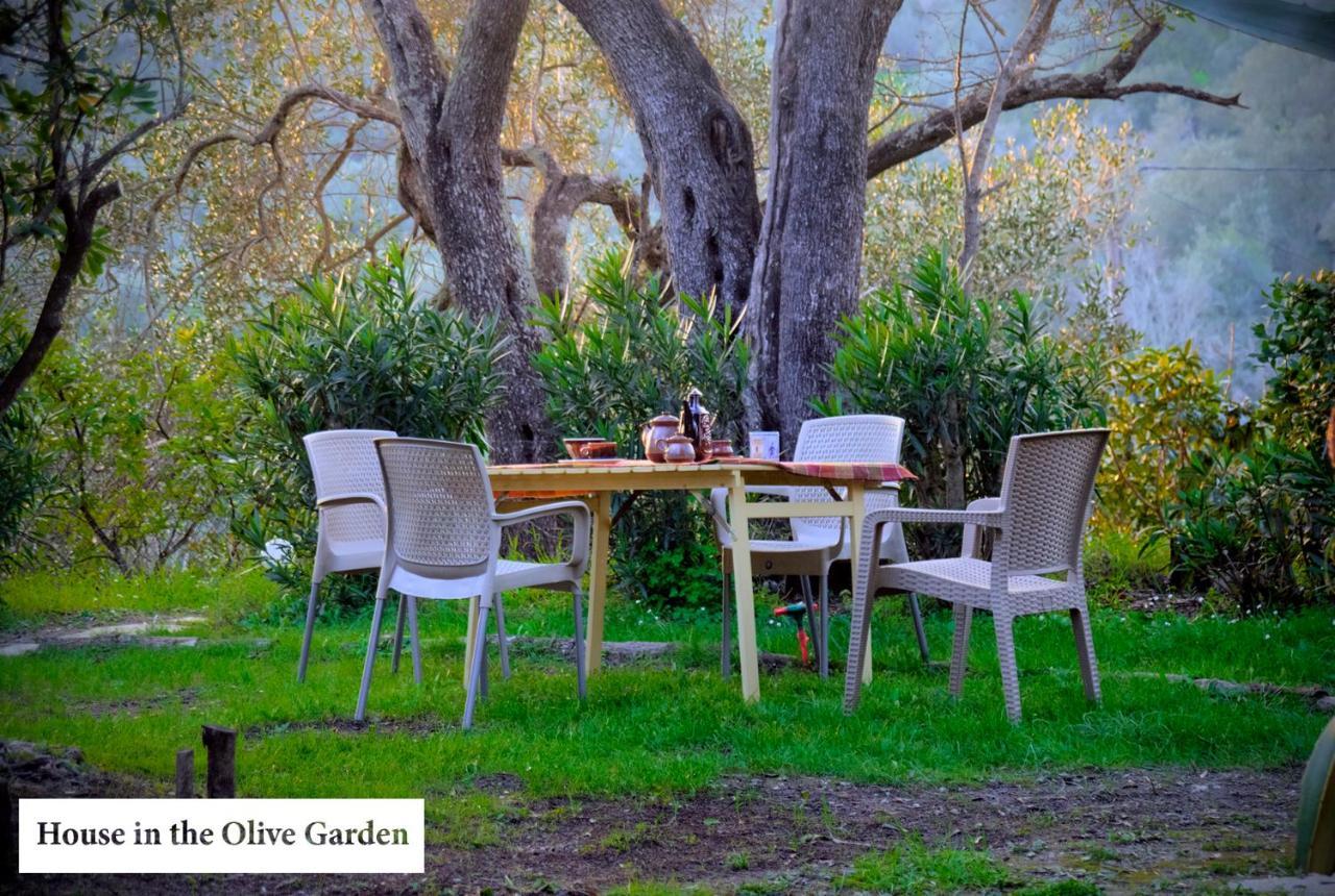 Apartament House In The Olive Garden Ágios Ioánnis Zewnętrze zdjęcie