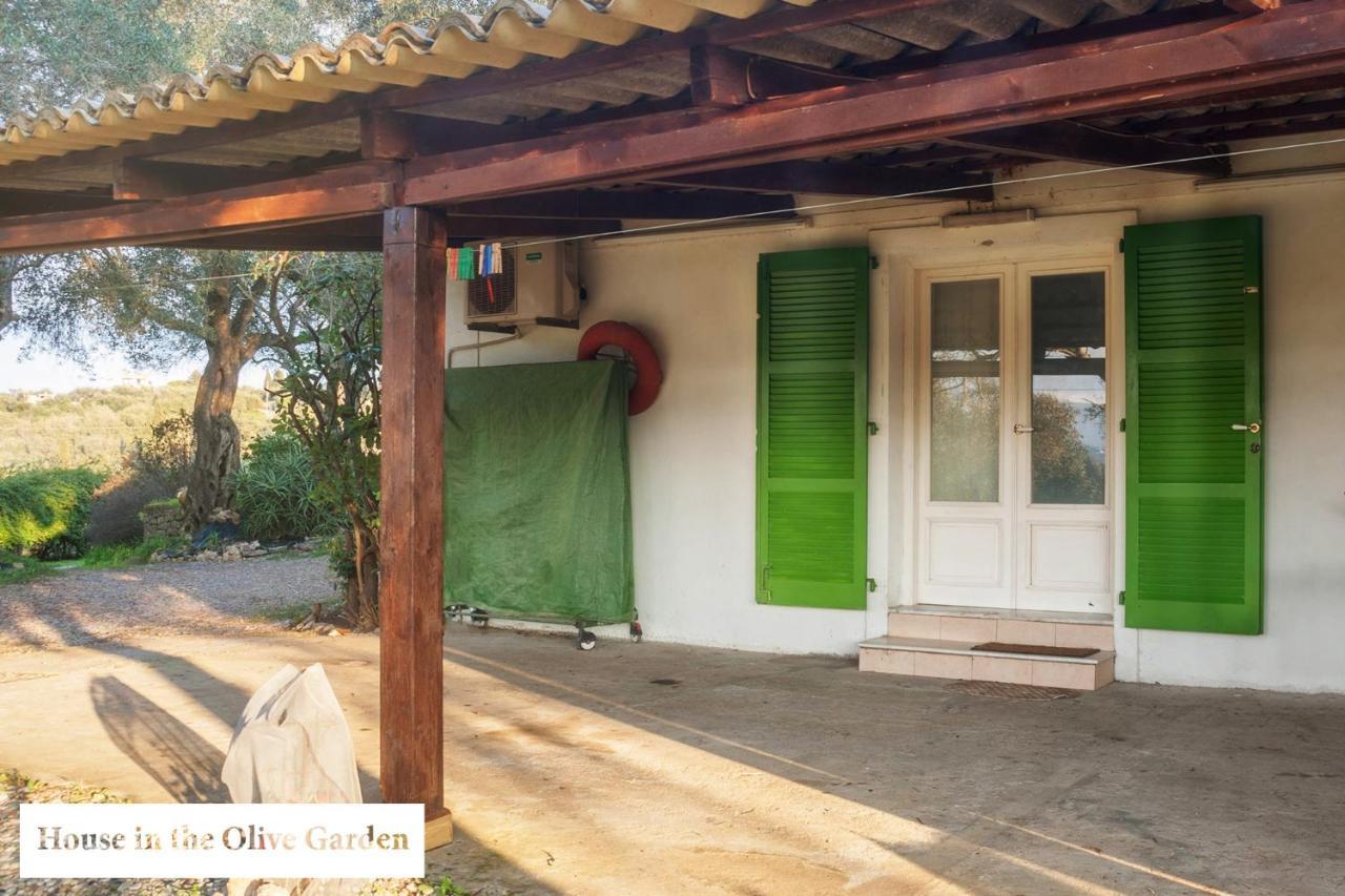 Apartament House In The Olive Garden Ágios Ioánnis Zewnętrze zdjęcie