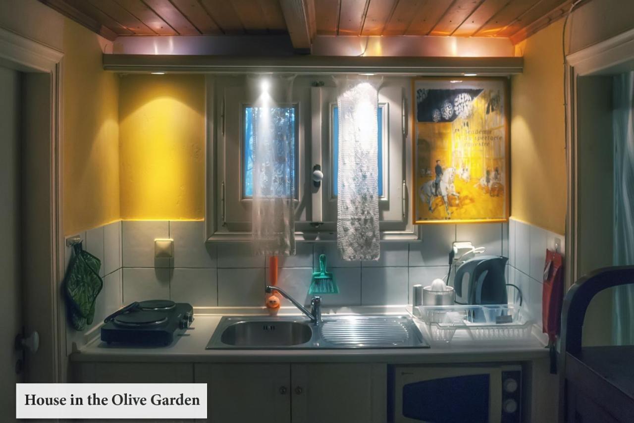 Apartament House In The Olive Garden Ágios Ioánnis Zewnętrze zdjęcie