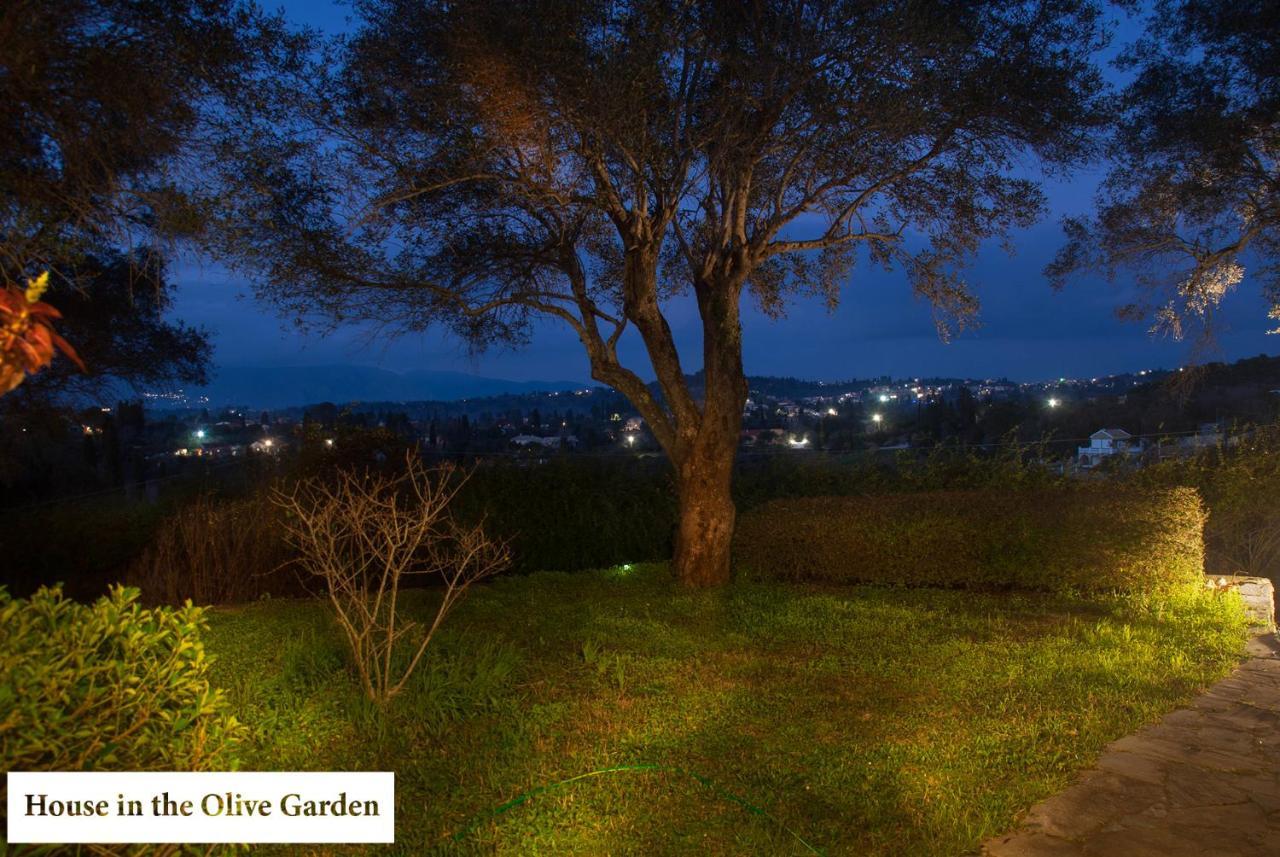 Apartament House In The Olive Garden Ágios Ioánnis Zewnętrze zdjęcie