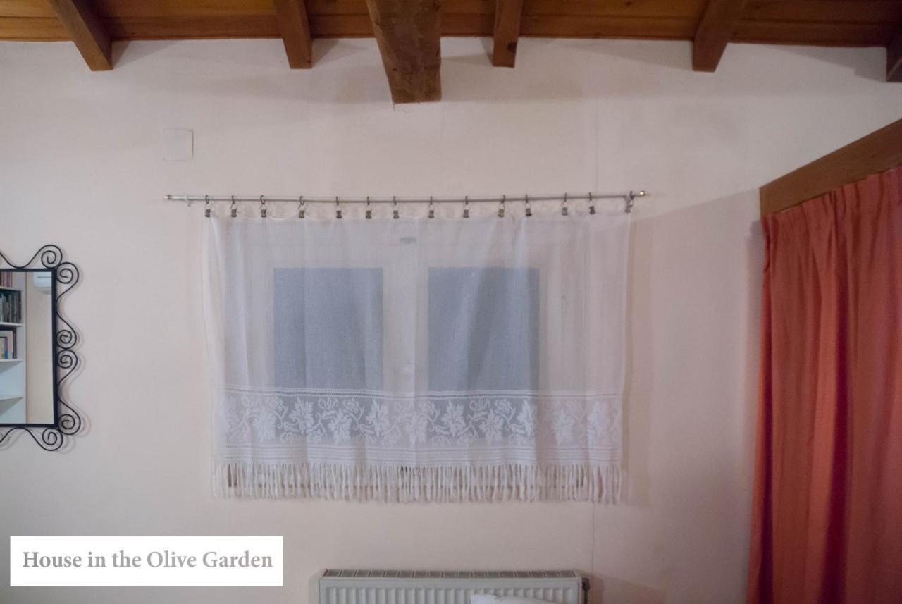 Apartament House In The Olive Garden Ágios Ioánnis Zewnętrze zdjęcie