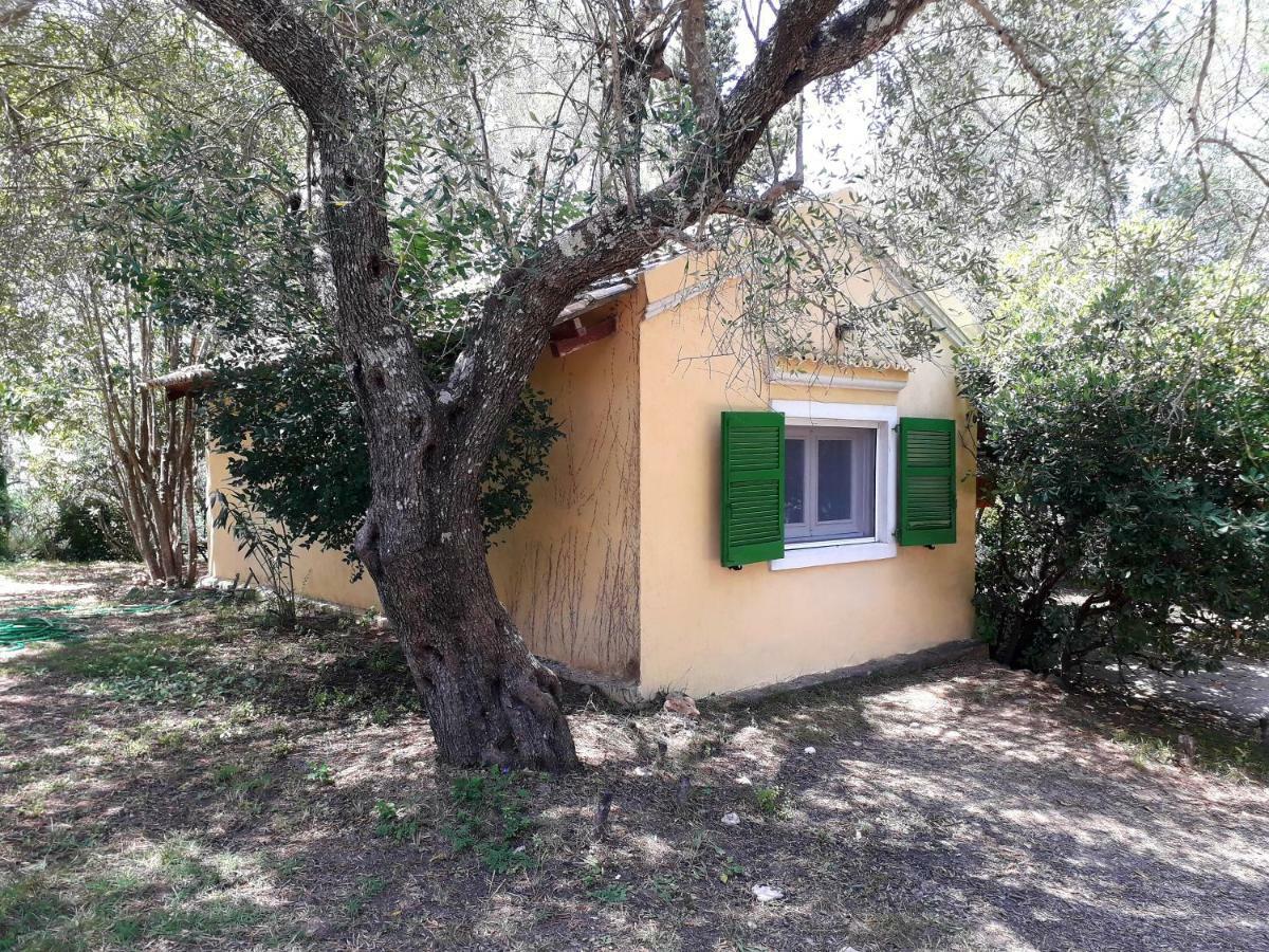 Apartament House In The Olive Garden Ágios Ioánnis Zewnętrze zdjęcie