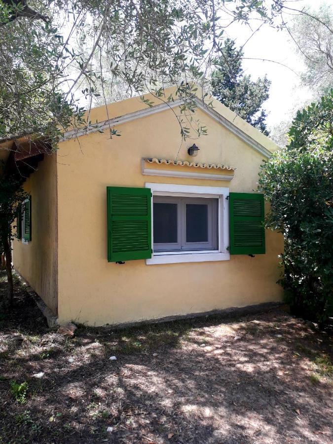Apartament House In The Olive Garden Ágios Ioánnis Zewnętrze zdjęcie